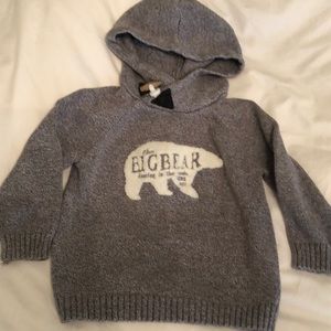 Polar bear hooded sweater